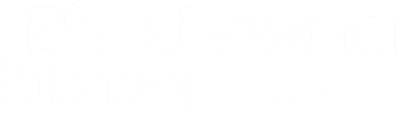 Efektywna firma w necie